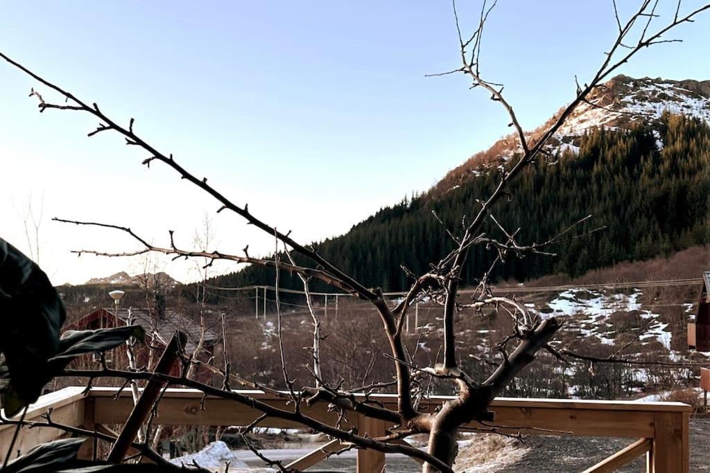 Ett Roms Leilighet Vestvagoy Gravdal  Exterior foto