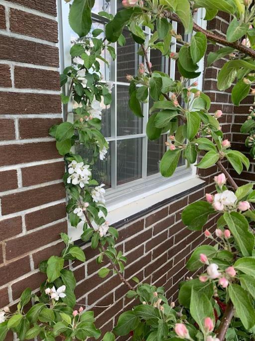 Ett Roms Leilighet Vestvagoy Gravdal  Exterior foto